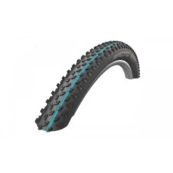 Copertone Schwalbe RACING RAY EVO 29x2,10 SnakeSkin Addix Spgrip TL READY