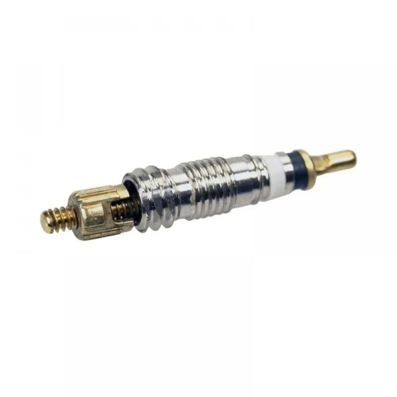 Spillo Smontabile Per Valvole Tubeless